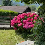 Aledia Chalet Pessinetto