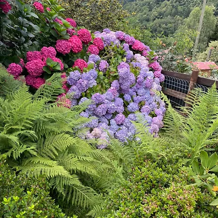 Aledia Horská chata *