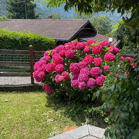 Aledia Alpesi faház Pessinetto