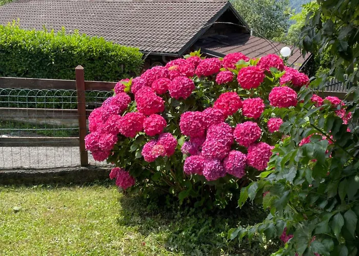 Aledia Horská chata Pessinetto